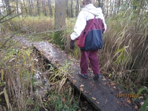 Turnhout Zevendonk 11-11-2012 019