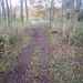 Turnhout Zevendonk 11-11-2012 020