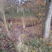 Turnhout Zevendonk 11-11-2012 027