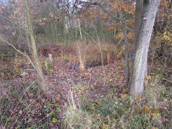 Turnhout Zevendonk 11-11-2012 027