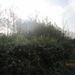 Turnhout Zevendonk 11-11-2012 030