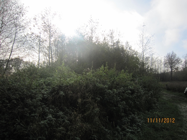 Turnhout Zevendonk 11-11-2012 030
