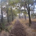 Turnhout Zevendonk 11-11-2012 041