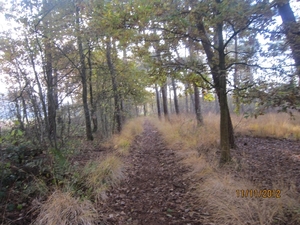 Turnhout Zevendonk 11-11-2012 041