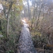 Turnhout Zevendonk 11-11-2012 045