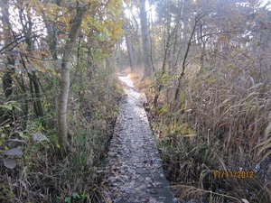 Turnhout Zevendonk 11-11-2012 045