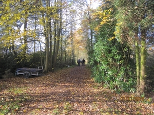 Turnhout Zevendonk 11-11-2012 050