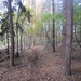 Turnhout Zevendonk 11-11-2012 054