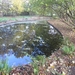 Turnhout Zevendonk 11-11-2012 056