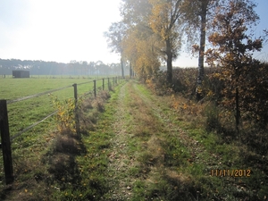 Turnhout Zevendonk 11-11-2012 072