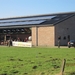 Turnhout Zevendonk 11-11-2012 075