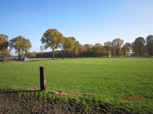 Turnhout Zevendonk 11-11-2012 083