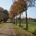 Turnhout Zevendonk 11-11-2012 090