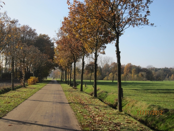 Turnhout Zevendonk 11-11-2012 090