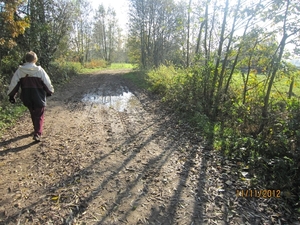 Turnhout Zevendonk 11-11-2012 096