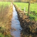Turnhout Zevendonk 11-11-2012 099