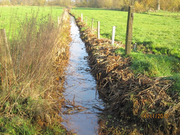 Turnhout Zevendonk 11-11-2012 099