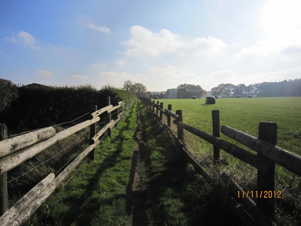 Turnhout Zevendonk 11-11-2012 109