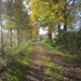 Turnhout Zevendonk 11-11-2012 113