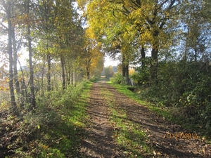 Turnhout Zevendonk 11-11-2012 113