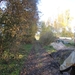 Turnhout Zevendonk 11-11-2012 122