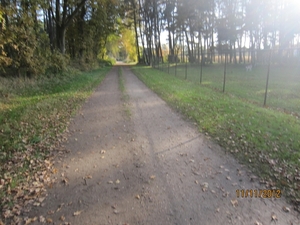 Turnhout Zevendonk 11-11-2012 129