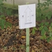 Turnhout Zevendonk 11-11-2012 141