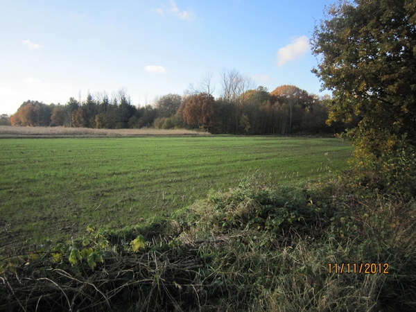 Turnhout Zevendonk 11-11-2012 147