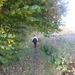 Turnhout Zevendonk 11-11-2012 148