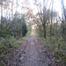 Turnhout Zevendonk 11-11-2012 154
