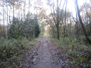 Turnhout Zevendonk 11-11-2012 154