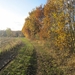 Turnhout Zevendonk 11-11-2012 159