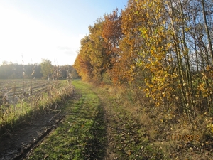 Turnhout Zevendonk 11-11-2012 159