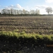 Turnhout Zevendonk 11-11-2012 160