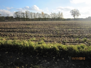 Turnhout Zevendonk 11-11-2012 160