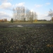 Turnhout Zevendonk 11-11-2012 167