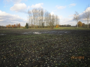 Turnhout Zevendonk 11-11-2012 167