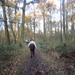 Turnhout Zevendonk 11-11-2012 176