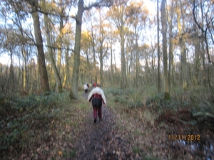 Turnhout Zevendonk 11-11-2012 176