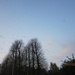 Turnhout Zevendonk 11-11-2012 190