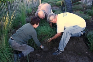 aanplant stal dessel aug 2012 014