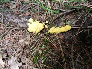 DSCN1098