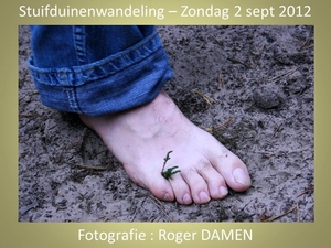 Stuifduinenwandeling