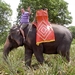 Thailand - Hua Hin - Cha-am  elephant ride mei 2009 (11)