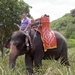 Thailand - Hua Hin - Cha-am  elephant ride mei 2009 (12)
