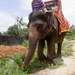 Thailand - Hua Hin - Cha-am  elephant ride mei 2009 (18)