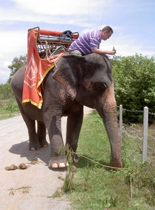 Thailand - Hua Hin - Cha-am  elephant ride mei 2009 (19)