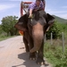 Thailand - Hua Hin - Cha-am  elephant ride mei 2009 (20)