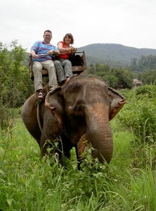 Thailand - Chiang mai - a ride on an elephant in Elephant nature