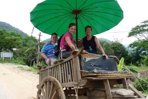 Thailand - Chiang mai - a ride on an elephant in Elephant nature